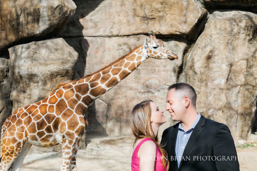 Elisa and Dan at their Philadelphia Zoo engagement session