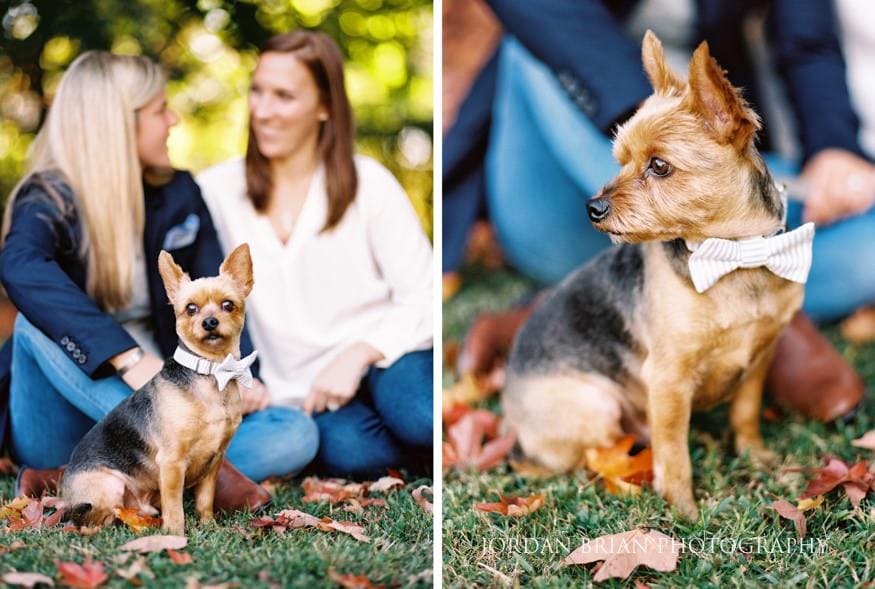 couple's dog at fairmount park engagement session