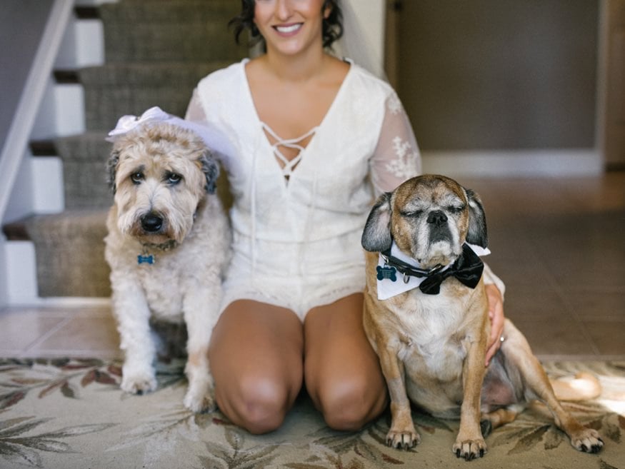Bride with her dogs before Knowlton Mansion wedding.