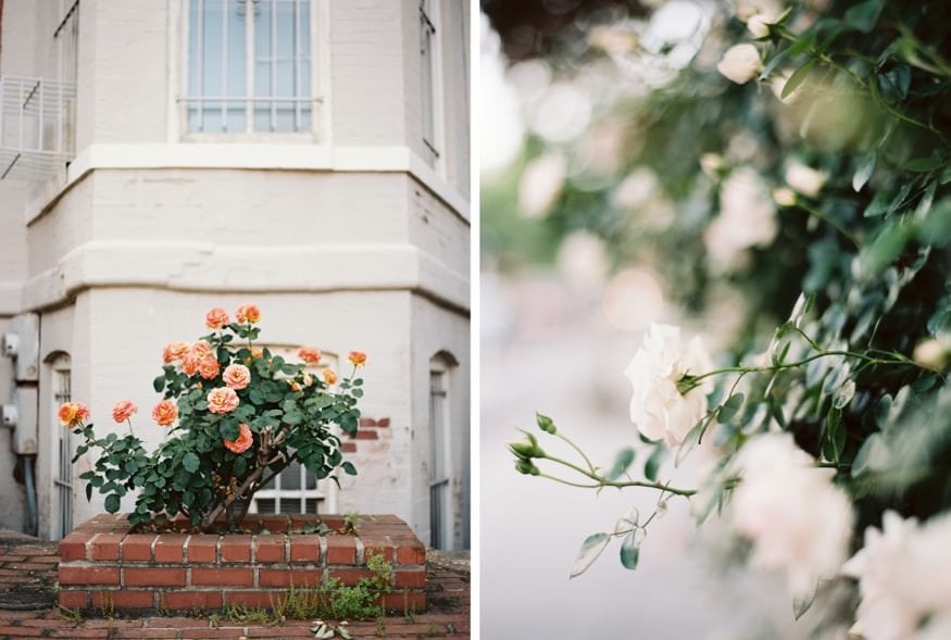 Film photograph of Washington D.C. scene, Jordan Brian personal project