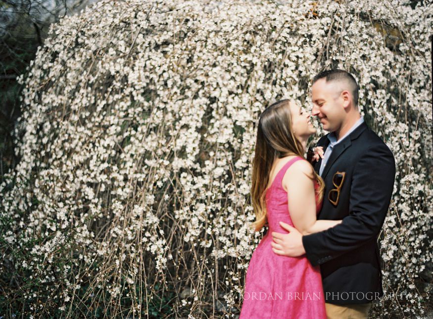 couple infront of tree at philadelphia zoo engagement session