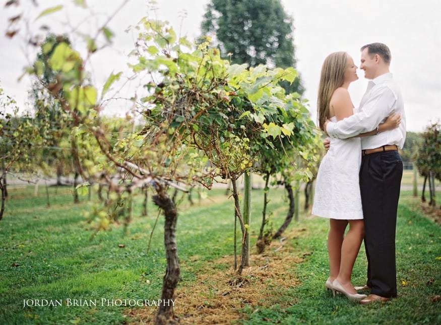 Fall engagement photographs at a South Jersey vineyard