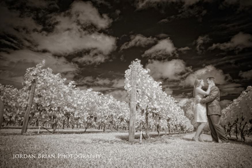 Couple strolling through the Valenzano Winery vineyard in autumn