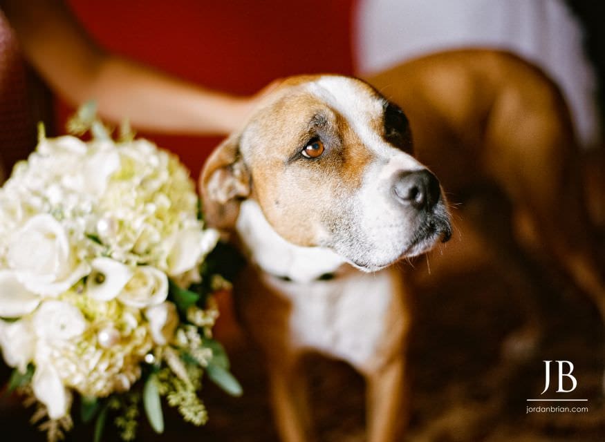 Gina bridal portrait before wedding at Windows on the Water Frogbridge NJ