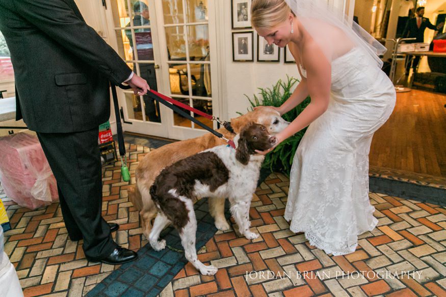 bride with her dogs before wedding ceremony