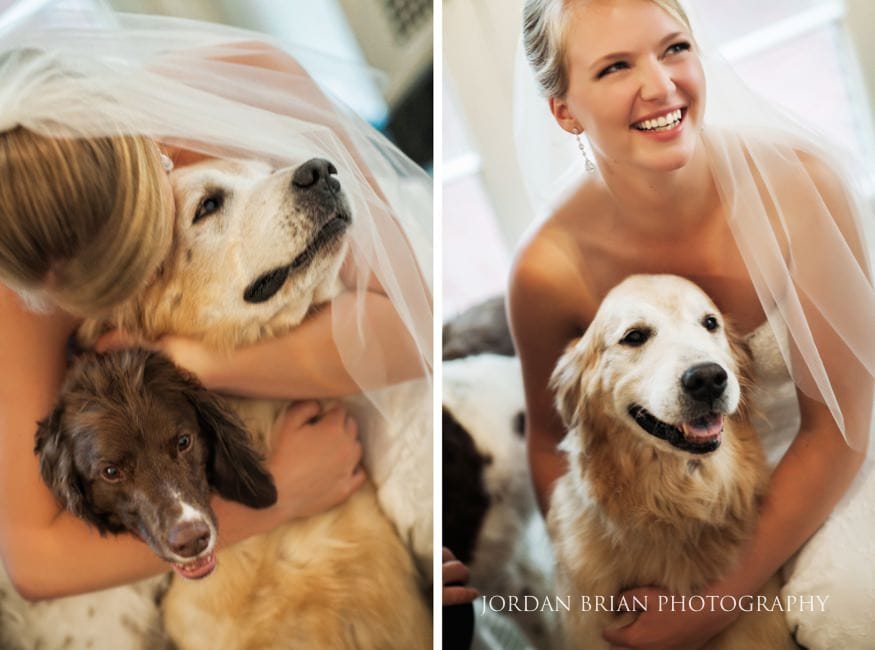 bride brought her dogs to wedding