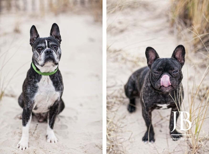 Laura and Justin Virginia Beach engagement session with dogs secluded beach