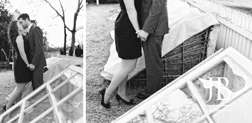 Laura and Justin Williamsburg Virginia engagement wide portrait trees in silhouette