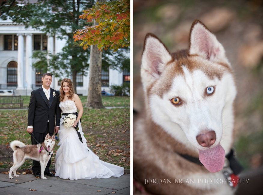 bride with dog photo independance hall philadelphia