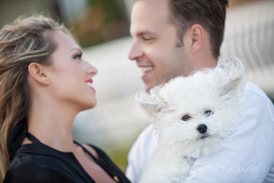 Simona and Brandon's dog posing on the beach during Ventnor engagement session