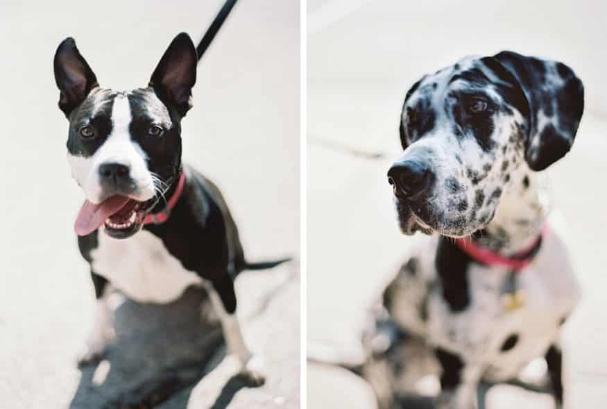Personal Pet Project!