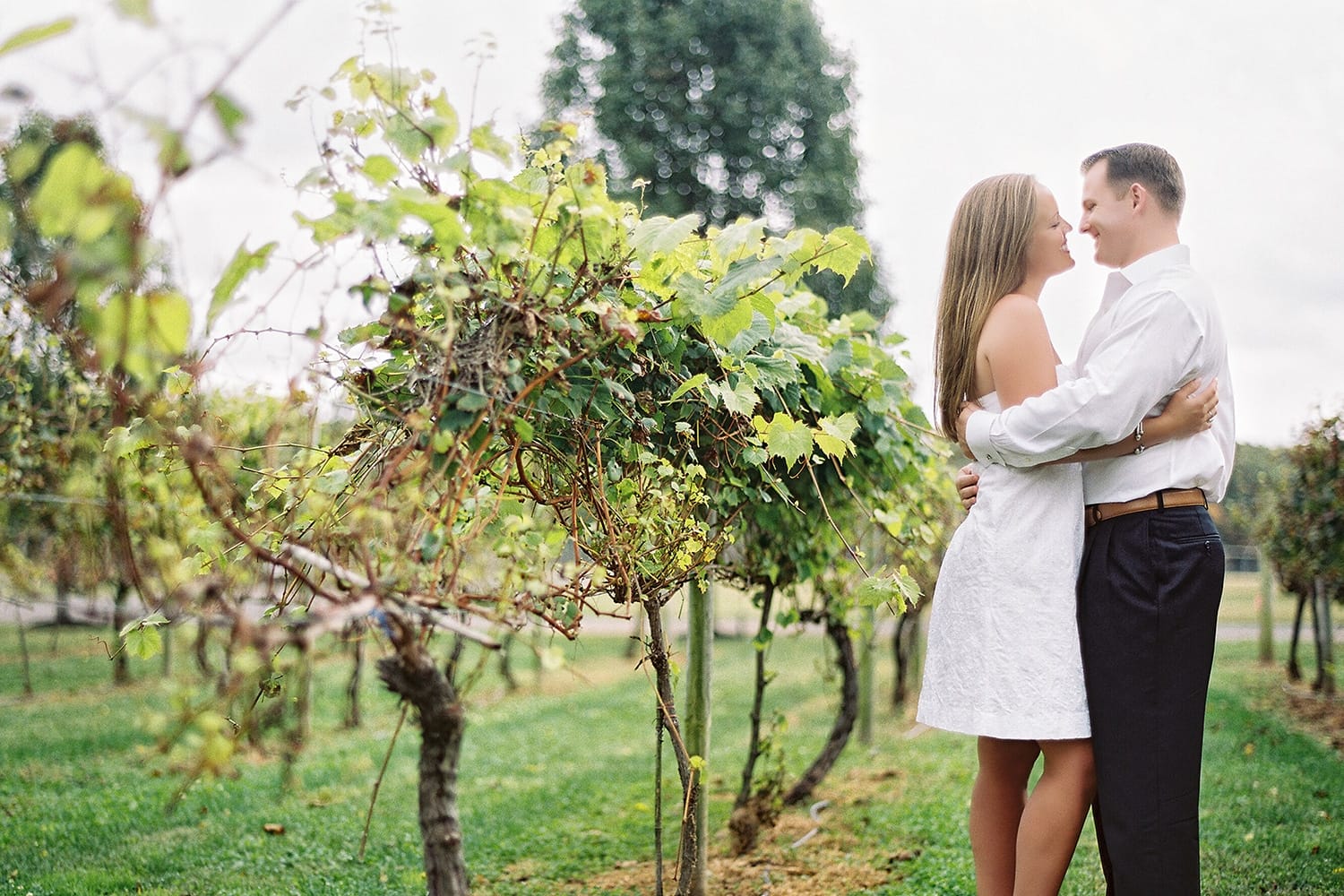 Fall Engagement Session at the Valenzano Winery – Gina & Ryan