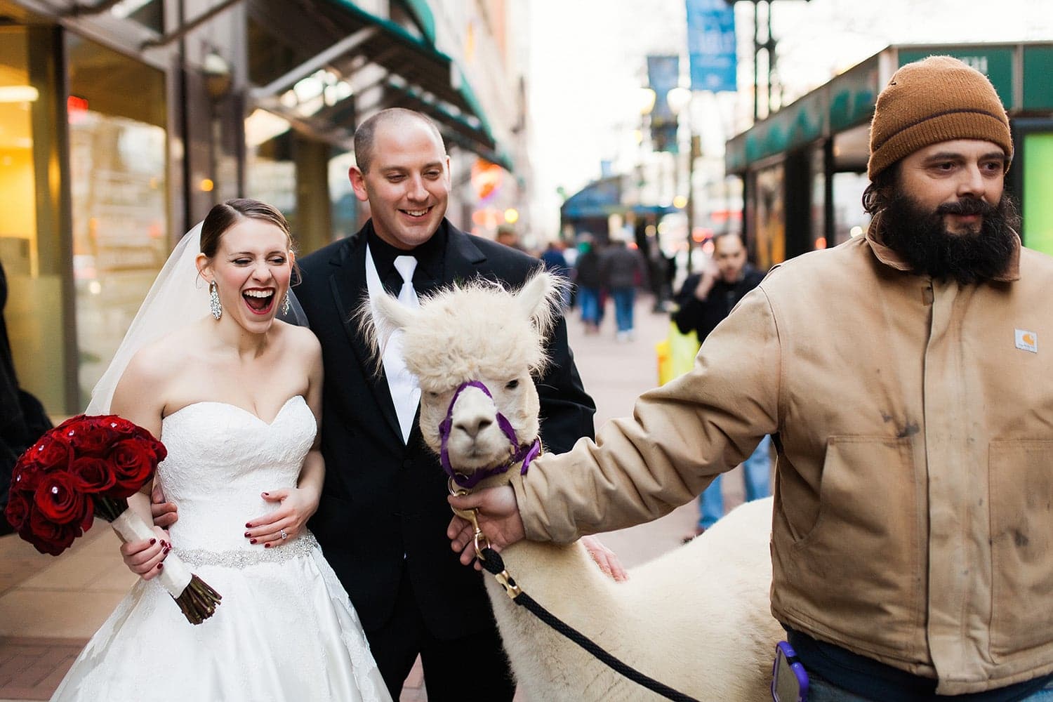 Best Photobombs of 2015