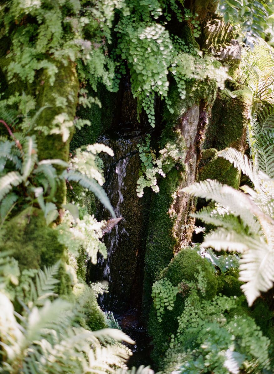Morris Arboretum outdoor wedding ceremony Philadelphia