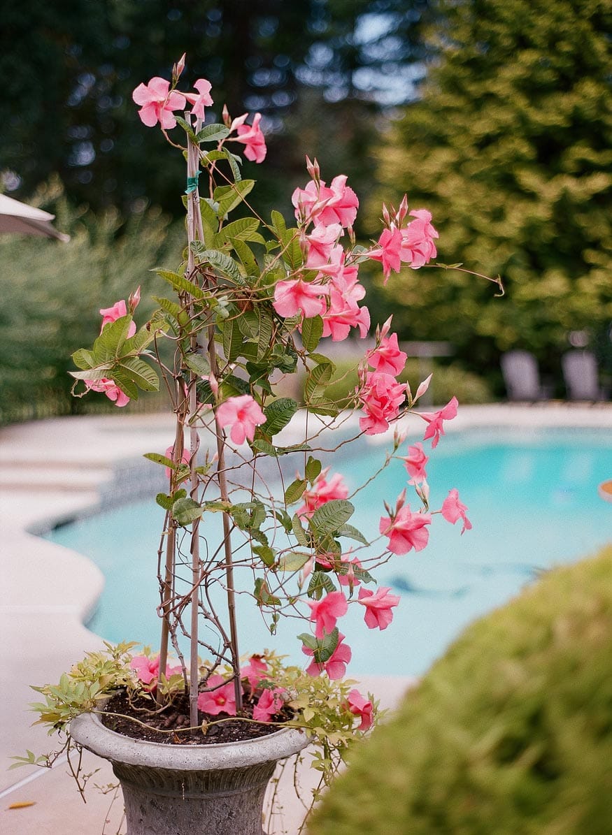 New Jersey private estate wedding cocktail hour details floral