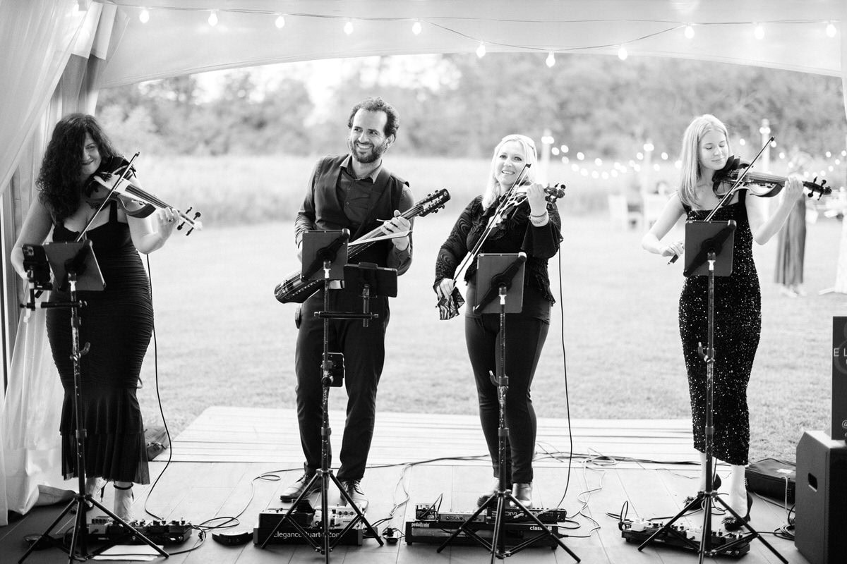 elegance quartet cocktail hour music playing