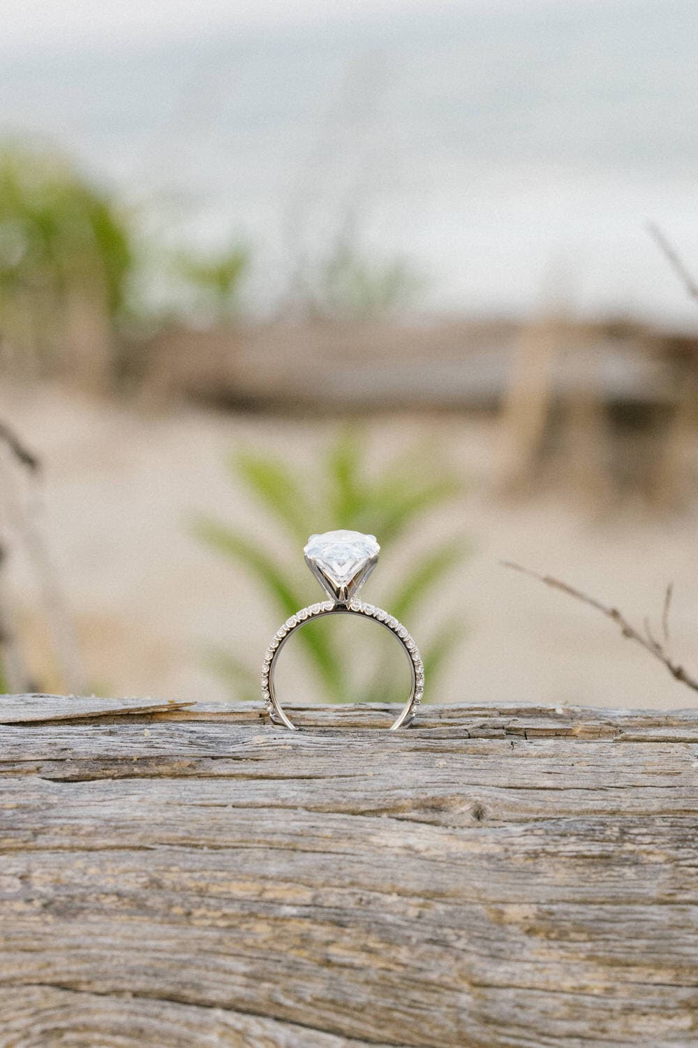 Jersey Shore engagement ring detail - diamond on driftwood with shells