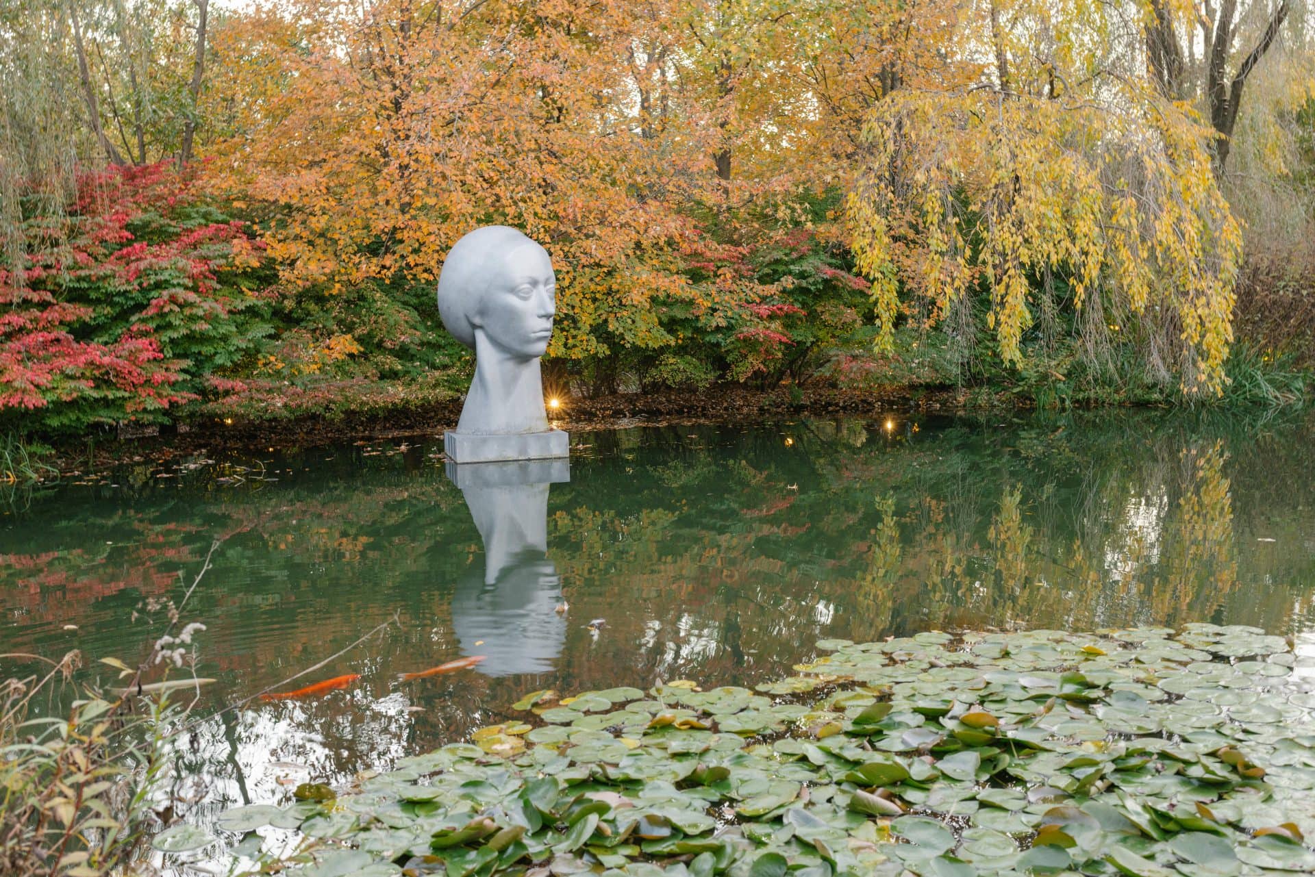 Golden hour sculpture head in pond with fall colors and koi fish at Grounds for Sculpture wedding, Hamilton NJ