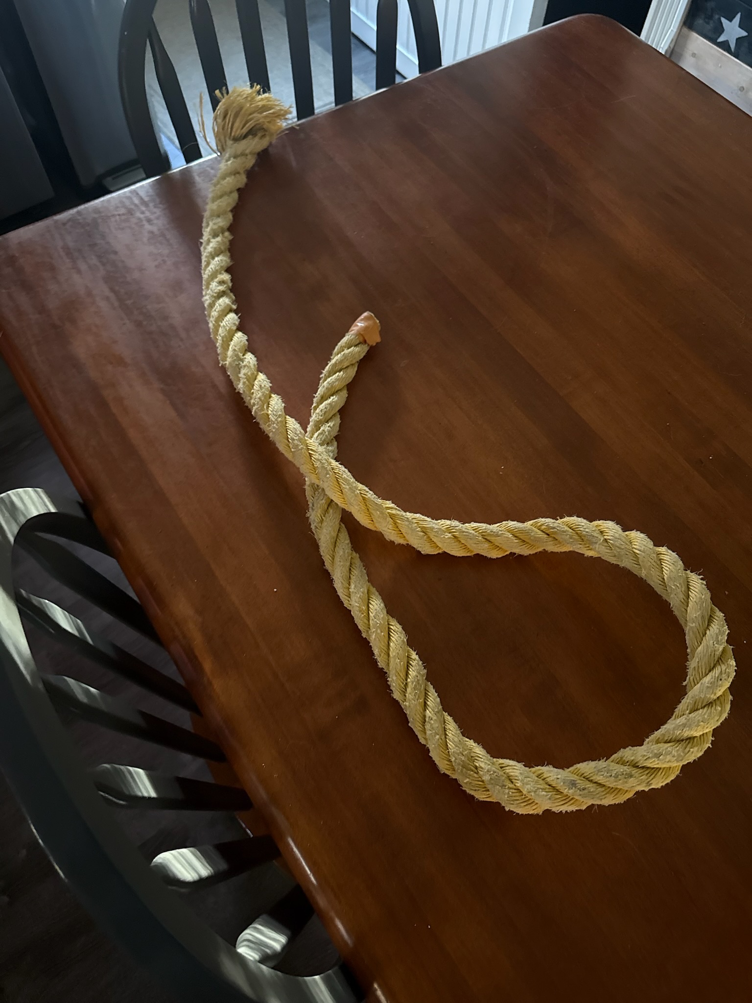 Yellow rope from the Asbury Park jetty kept as a keepsake, coiled on a table