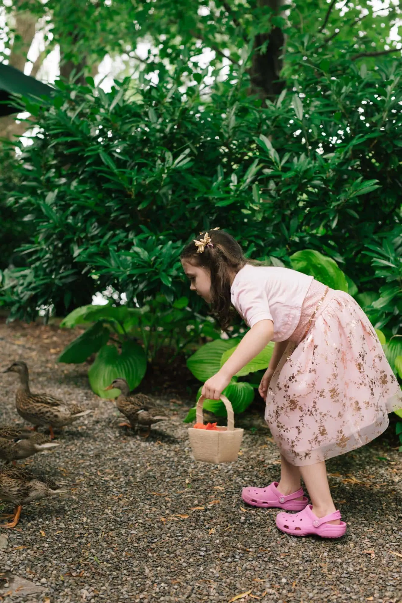 A young girl feeding ducks at the edge of the pond at Grounds for Sculpture