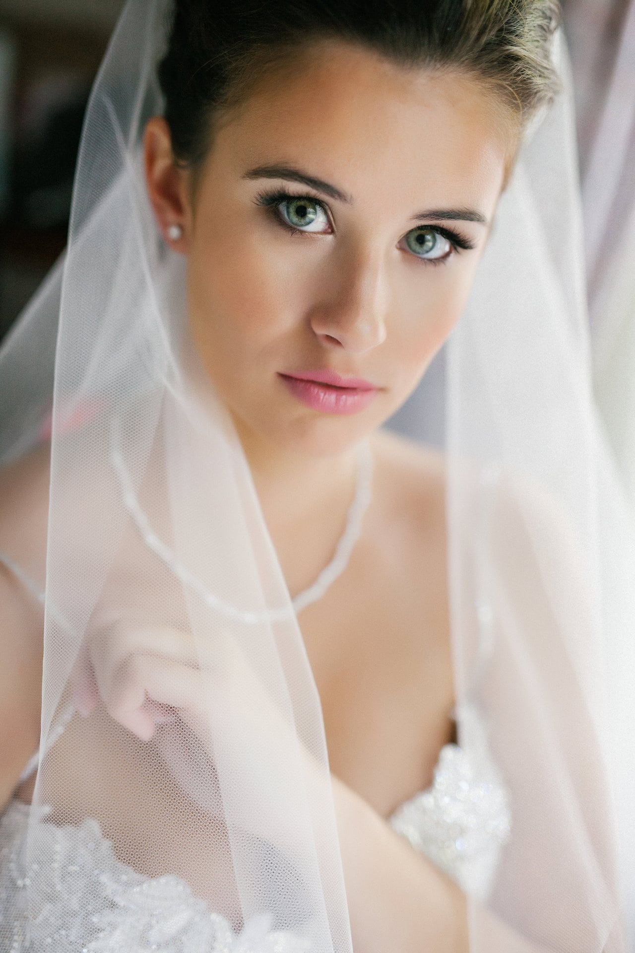Bridal portrait through the veil