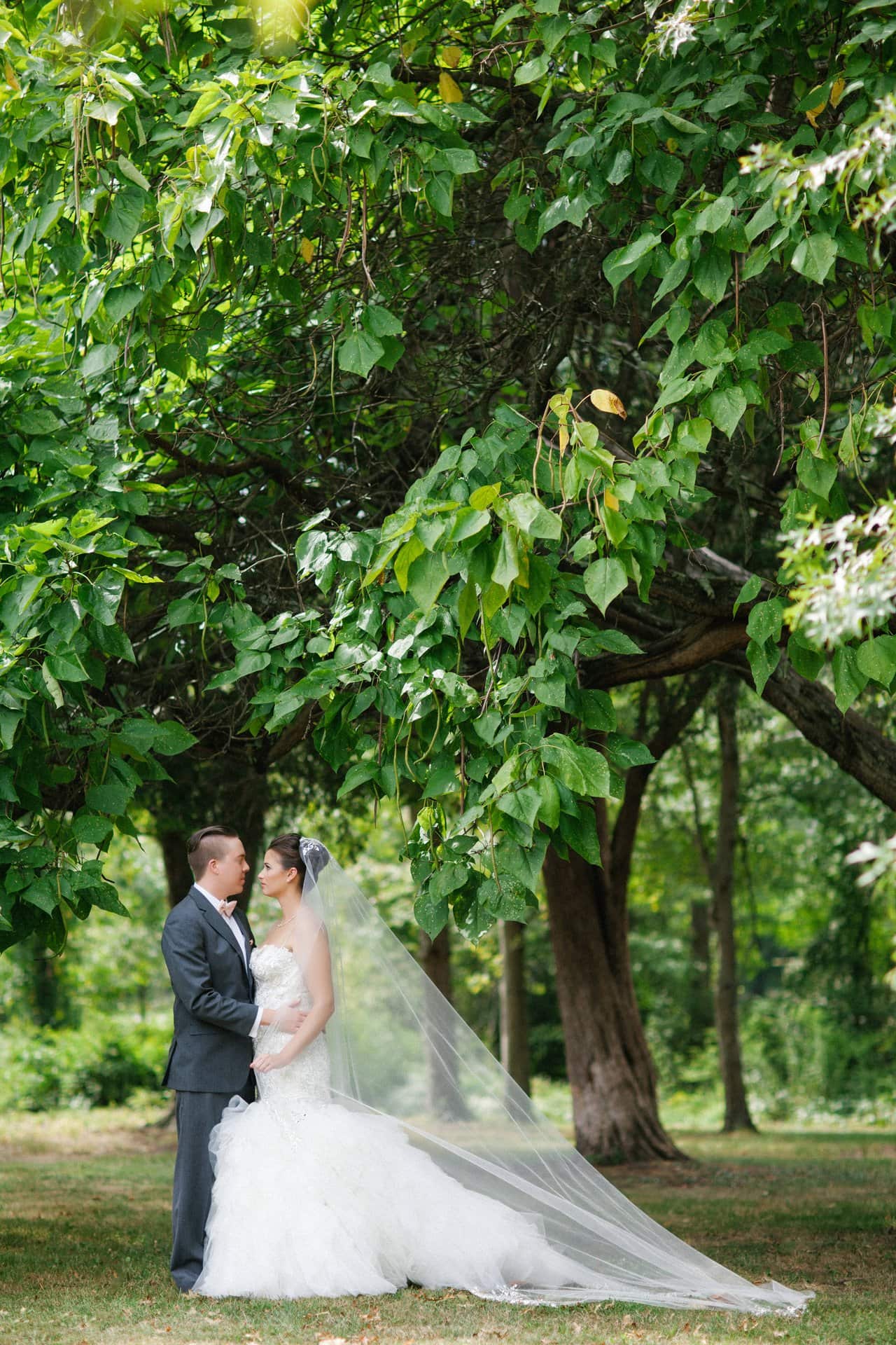 Wide portrait of the couple beneath a large tree at Berlin Park