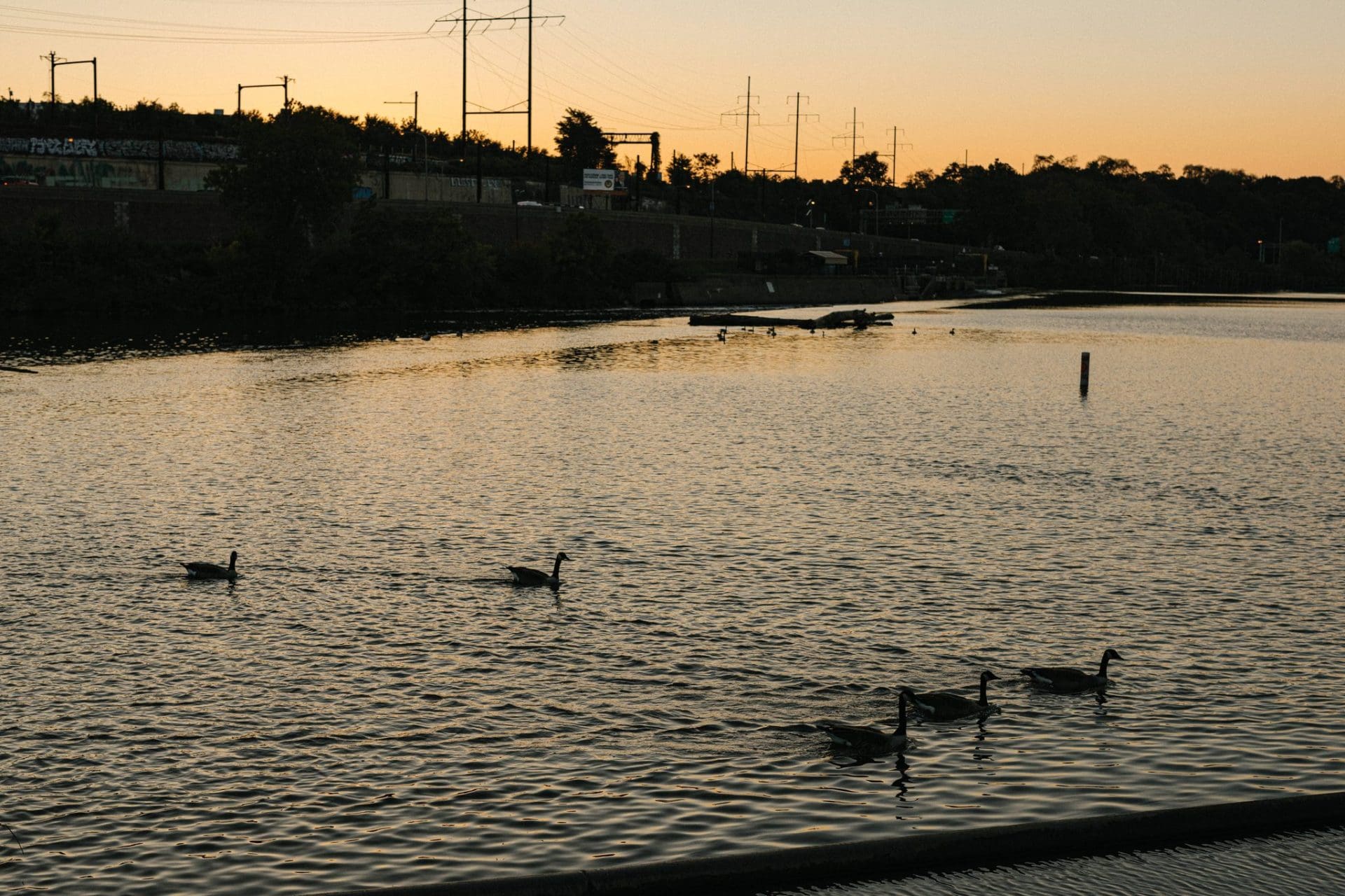 An orange sky over the Schuylkill River with geese on the water in Philadelphia